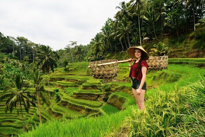 Imagen del tour: Lo mejor de Ubud: Monkey Forest, Temple, Waterfall, Rice Terrace y Art Villages