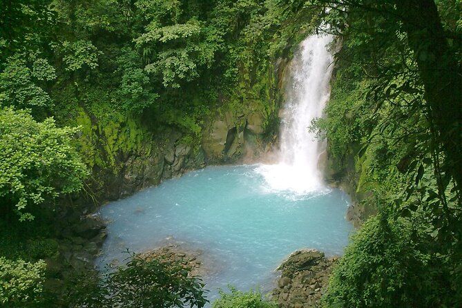 Imagen del tour: Excursión privada de día completo a la cascada de Río Celeste y al santuario de perezosos con almuerzo