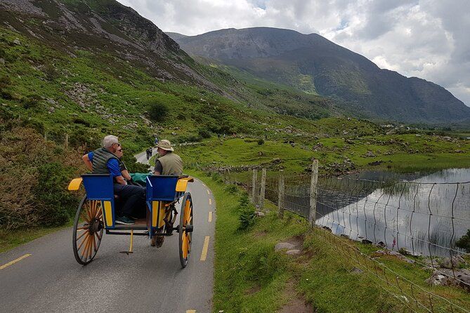 Imagen del tour: Recorrido en autobús, barco y carro de paseo (el carro de paseo se paga por separado)