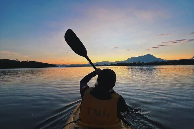 Imagen del tour: Experiencia de kayak en manglares en Borneo