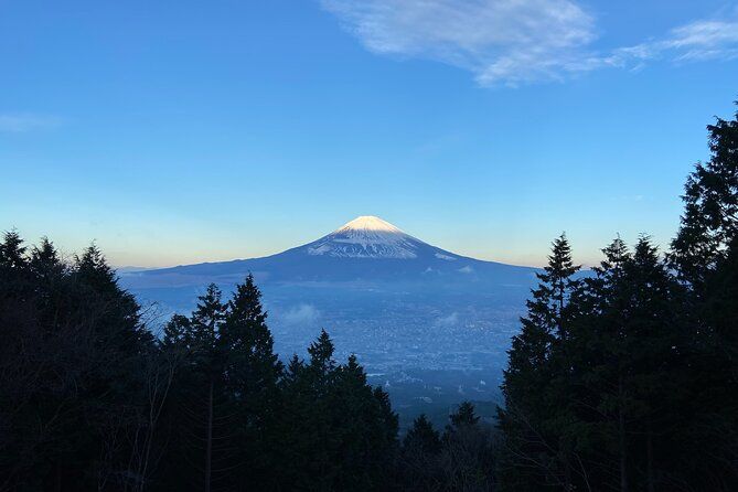 Imagen del tour: Recorrido de senderismo de medio día por la antigua carretera de Tokaido y el volcán de Hakone