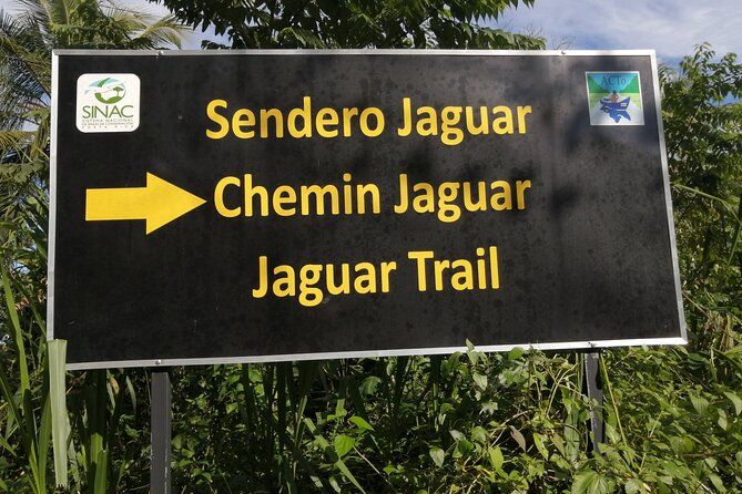 Imagen del tour: Caminata Diurna Parque Nacional Tortuguero