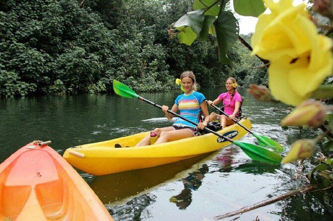 Imagen del tour: Caminata en kayak por Secret Falls en Kauai