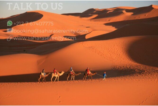Imagen del tour: Campamento del desierto de Merzouga
