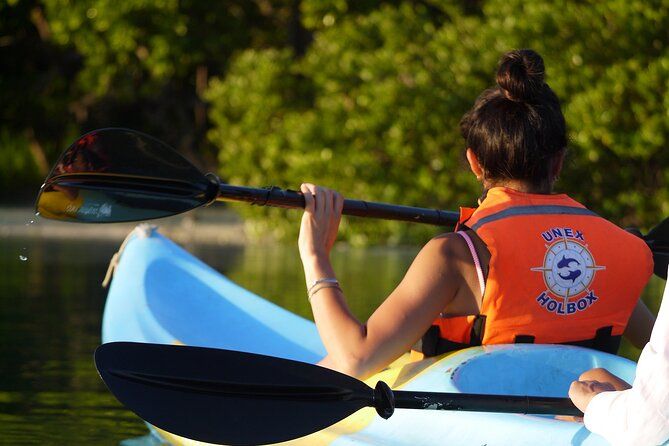 Imagen del tour: Recorre los Manglares en Kayak por Isla Holbox