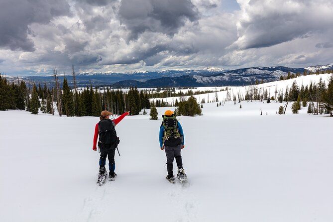 Imagen del tour: Excursión con raquetas de nieve a Yellowstone desde Bozeman