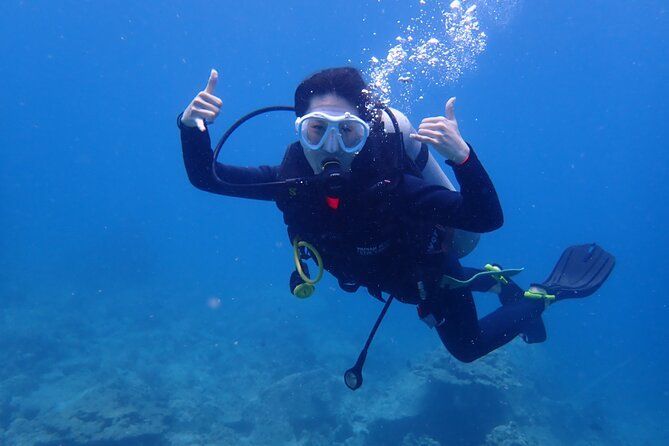 Imagen del tour: Curso PADI Open Water Diver | Para principiantes
