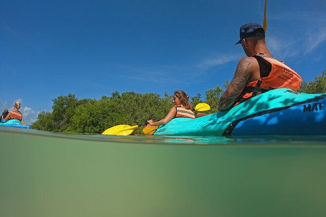 Imagen del tour: Excursión en kayak por los manglares de Isla Holbox