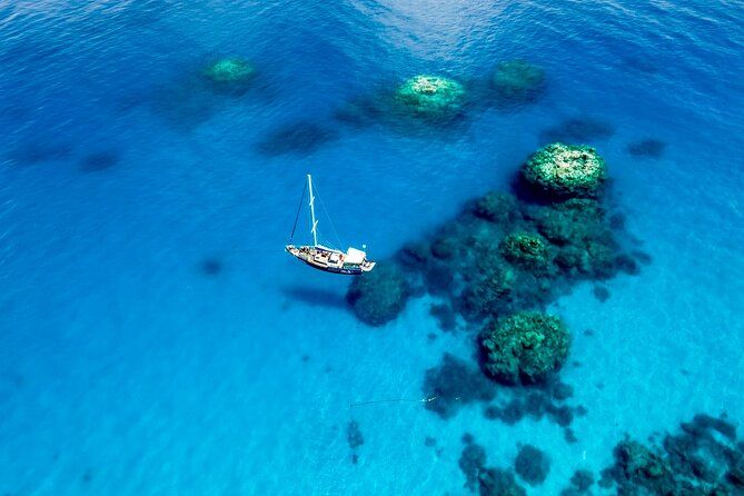 Imagen del tour: Coral Sea Dreaming: buceo nocturno, snorkel y navegación desde Cairns