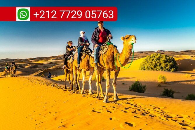 Imagen del tour: Paseo en camello por Merzouga y campamentos nocturnos en el desierto