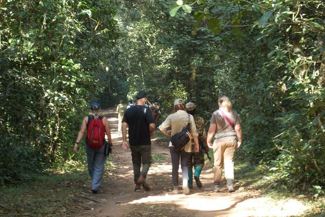 Imagen del tour: 2 días de trekking de gorilas en Bwindi a través de Kigali