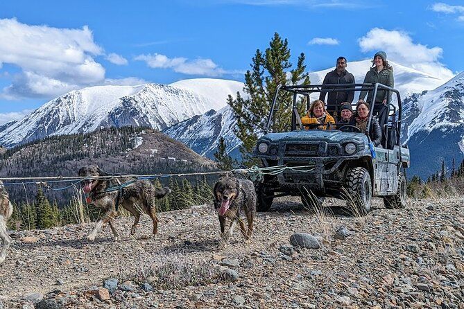 Imagen del tour: Tour de verano por la cumbre y el campamento remoto de Yukon con perros de trineo