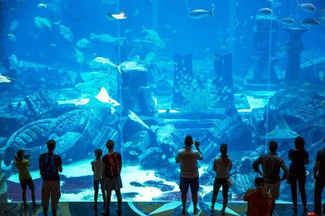 Imagen del tour: Pase de entrada al acuario Atlantis Lost Chamber