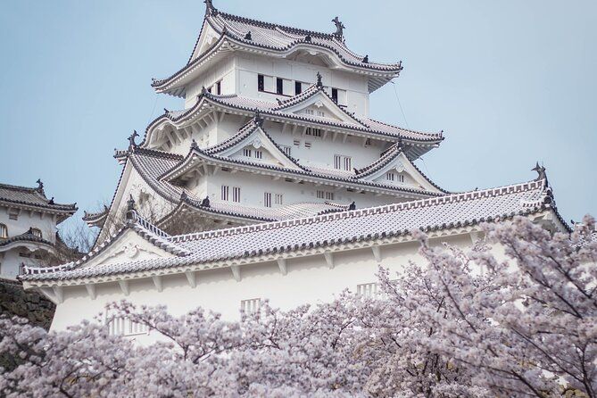 Imagen del tour: Tour privado exclusivo de Japón de 6 días