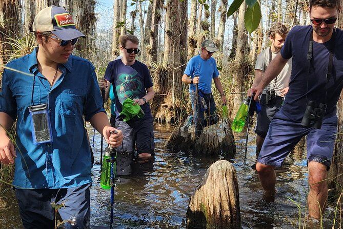 Imagen del tour: Everglades de día completo: caminata WET dirigida por biólogos + 2 viajes en bote + almuerzo en grupo pequeño