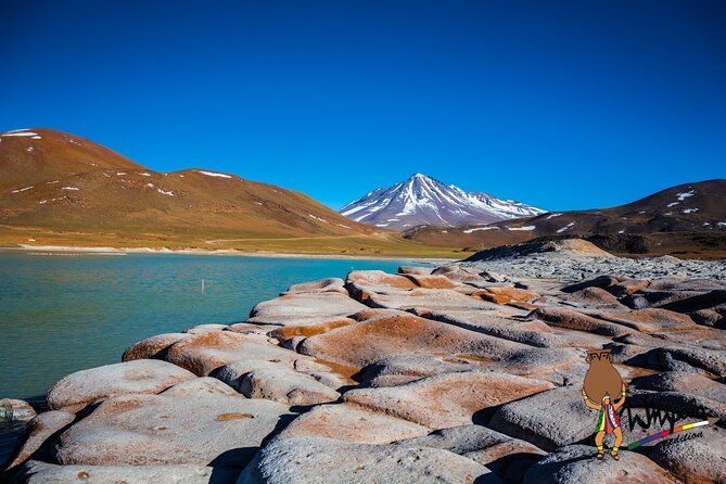 Imagen del tour: Piedras Rojas + Lagunas Altiplánicas y Salar de Atacama