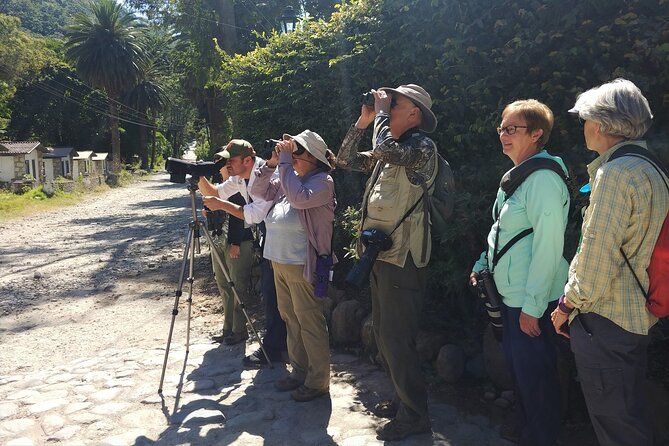 Imagen del tour: Experiencia privada de observación de aves de 5 horas en San Juan La Laguna