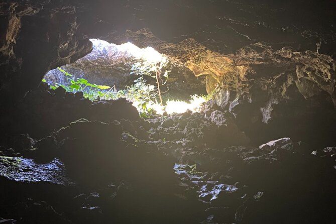 Imagen del tour: Tour Privado Medio día: Cuevas y Refugios Volcánicos