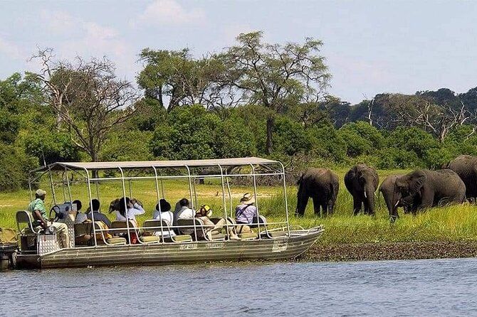 Imagen del tour: Un viaje de un día a Chobe Botwana