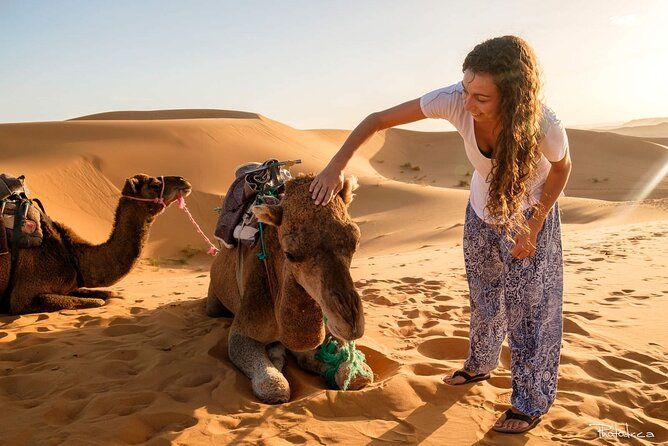 Imagen del tour: Viaje de lujo de 2 días por el desierto [de fes a fes o marrakech]