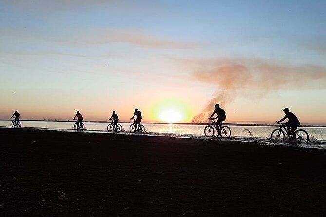 Imagen del tour: Experiencia en bicicleta por el lago de Itaipú: paseo por las orillas del lago