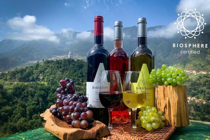 Imagen del tour: Skywalk y recorrido por los viñedos con cata de vinos profesional en 4x4 sin techo