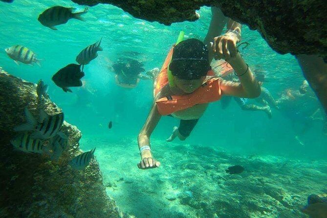 Imagen del tour: Snorkeling en Isla Mujeres y Museo Bajo El Agua