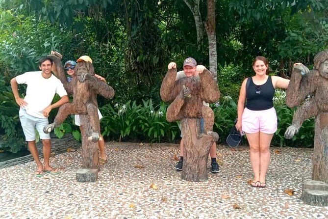 Imagen del tour: Día completo orangután sepilok, mono narigudo, oso solar, RDC