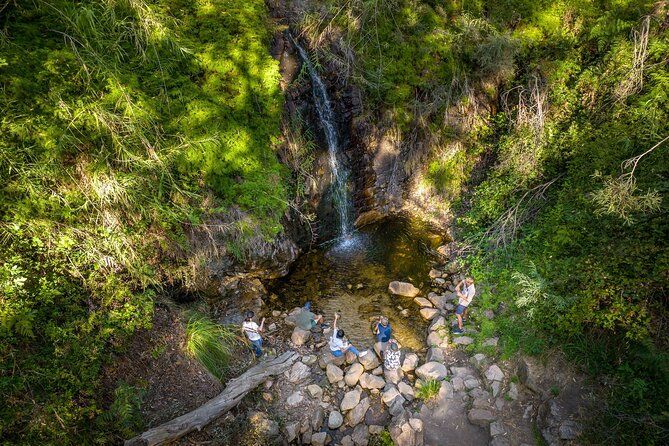 Imagen del tour: Caminata guiada de Waterfall Gully a Mt Lofty