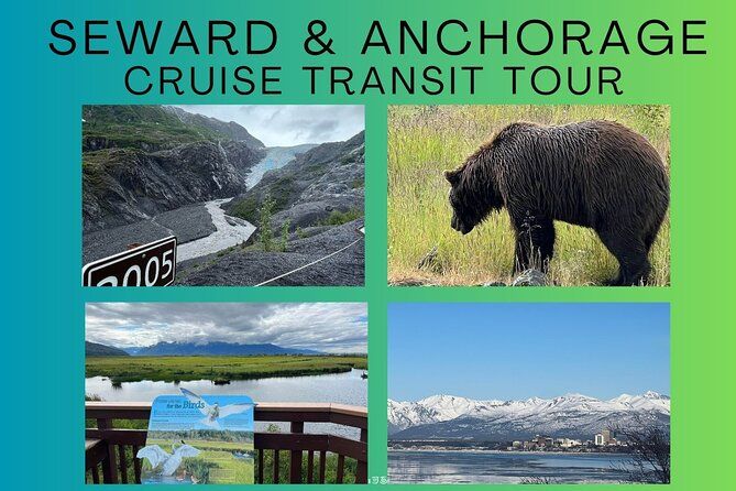 Imagen del tour: Tour de traslado terrestre de Seward a Anchorage