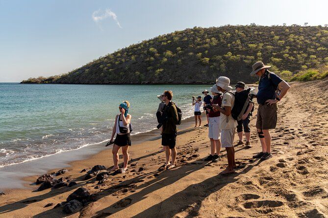 Imagen del tour: 8 días de isla en Galápagos "Isla Santa Cruz e Isabela"