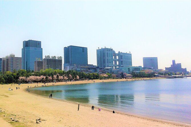 Imagen del tour: Ciclismo a lo largo de la impresionante costa de Odaiba, mañana y tarde.