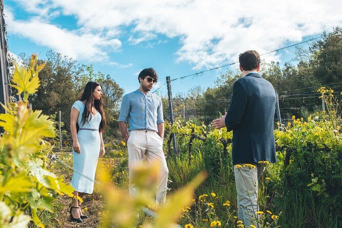 Imagen del tour: Visita a la bodega con degustación de vino y comida en la Val d'Orcia.