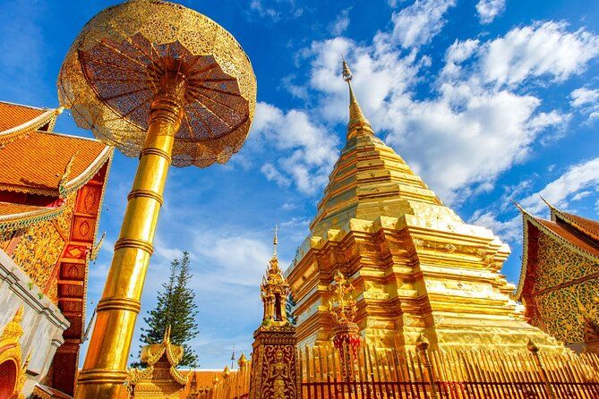 Imagen del tour: Chiang Mai - Templo Doi Suthep y caminata Wat Pha Lat