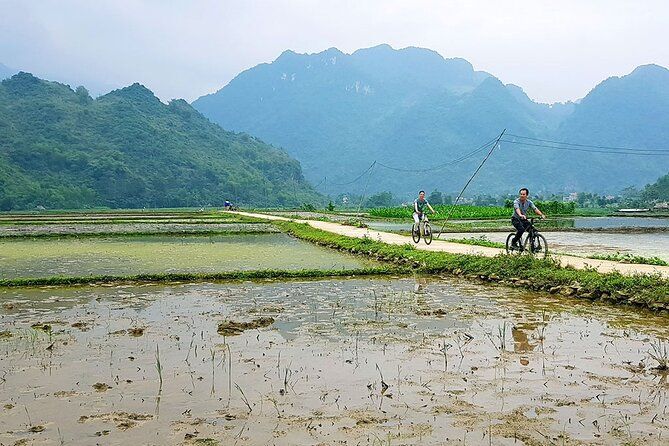 Imagen del tour: Trekking todoterreno de día completo en Pu Luong con ciclismo opcional