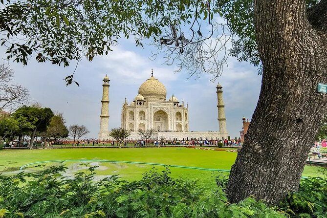 Imagen del tour: Sin colas: tour de lujo al Taj Mahal el mismo día desde Delhi
