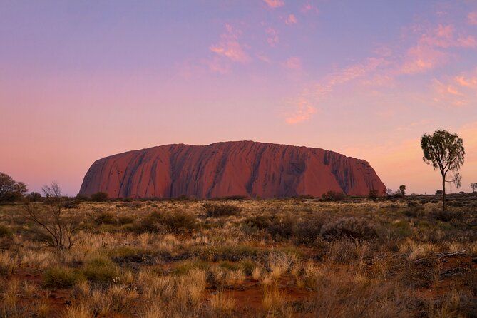 Imagen del tour: 4 días Red Center Kings Canyon West MacDonnell desde Alice Springs