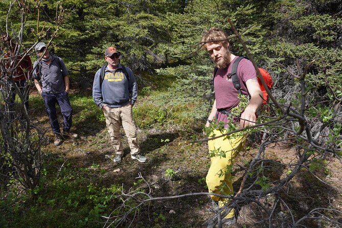 Imagen del tour: Tour de senderismo de 4 horas fuera de los senderos en Denali