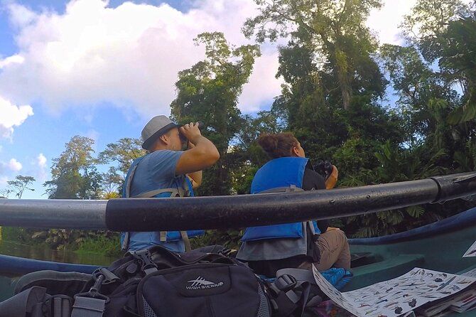 Imagen del tour: Medio Día / Canoa y Caminata al Parque Nacional Tortuguero