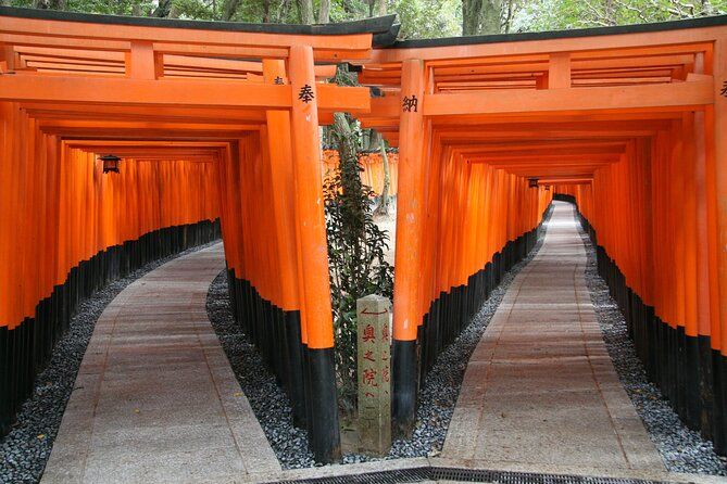 Imagen del tour: Recorrido por el santuario, el templo y el bosque cultural de Kioto con opciones