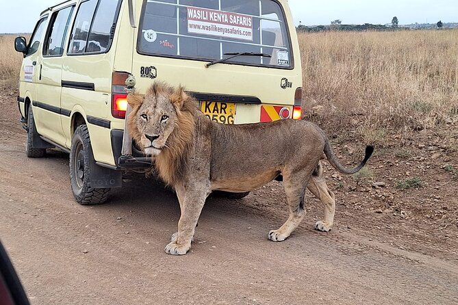 Imagen del tour: Paseo por el parque nacional de Nairobi