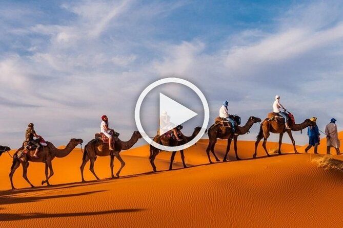 Imagen del tour: 1 noche de caminata en camello en Merzouga