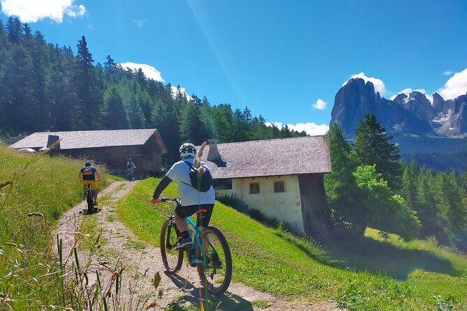 Imagen del tour: Tour privado en bicicleta eléctrica para descubrir cervecerías y viticultores