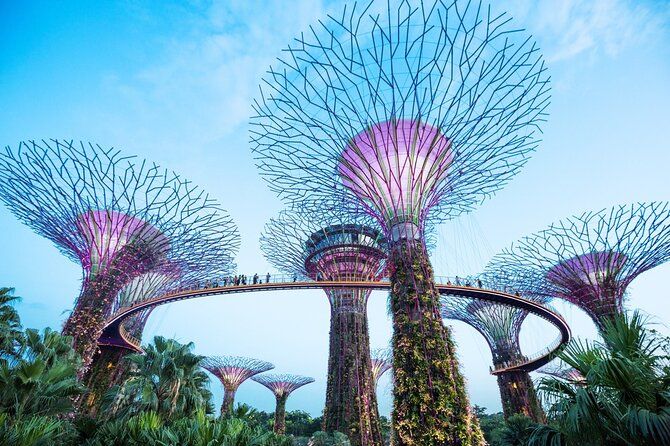 Imagen del tour: Boletos combinados para Marina Bay de Singapur (solo para turistas)