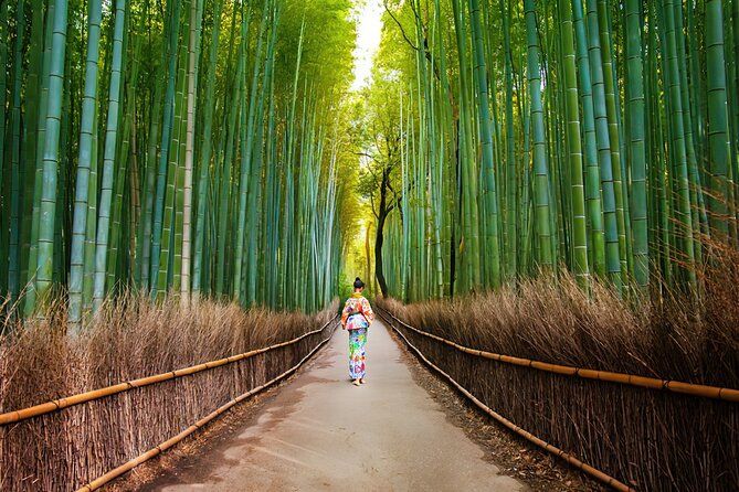 Imagen del tour: Recorrido a pie por Arashiyama: bosque de bambú, parque de monos y secretos