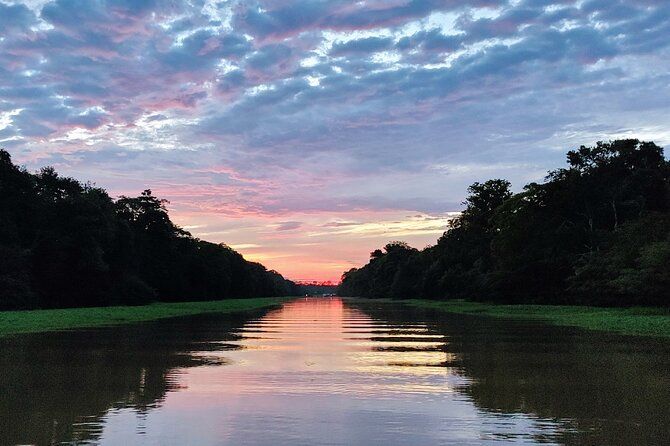 Imagen del tour: Tour privado por el río en lancha rápida en el Amazonas, nenúfares y naturaleza