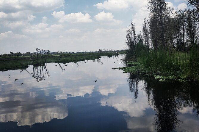 Imagen del tour: Xochimilco prehispánico. Ecotour Privado. Visita un ajolotario