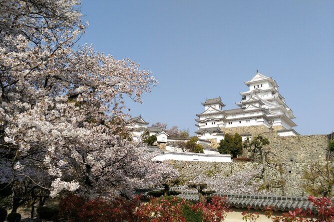 Imagen del tour: Tour privado de historia y cultura de 2,5 horas en el castillo de Himeji