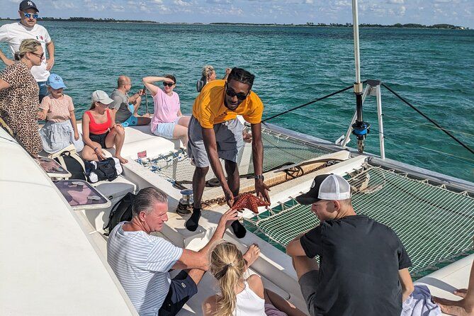 Imagen del tour: Nassau: snorkel de 3 paradas, cerdos nadadores, tortugas y almuerzo