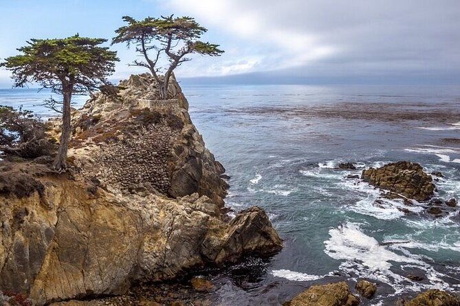 Imagen del tour: Monterey, Carmel, 17 Mile Drive, Rocky Point 6 horas desde Monterey
